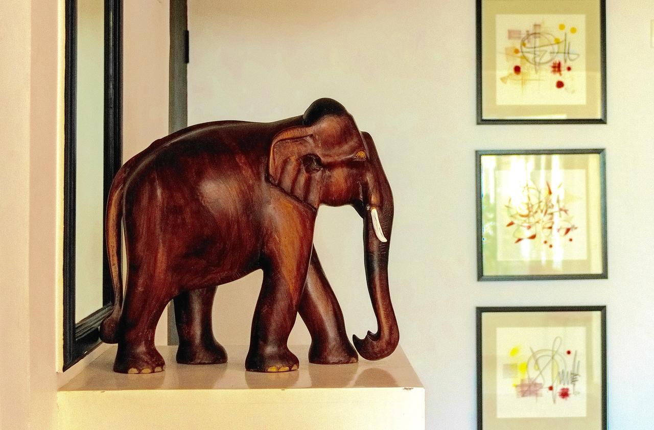 Petit Elephant Cherai Beach Bagian luar foto