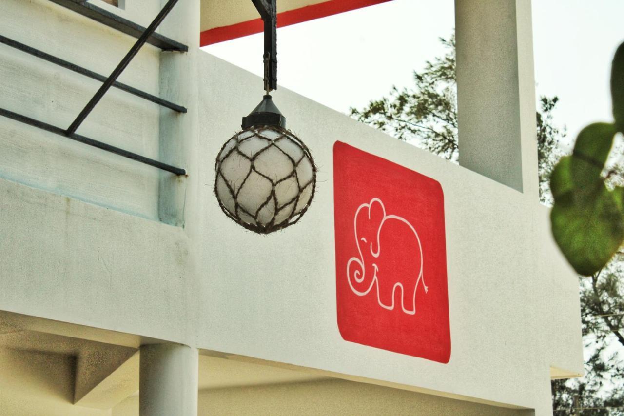 Petit Elephant Cherai Beach Bagian luar foto